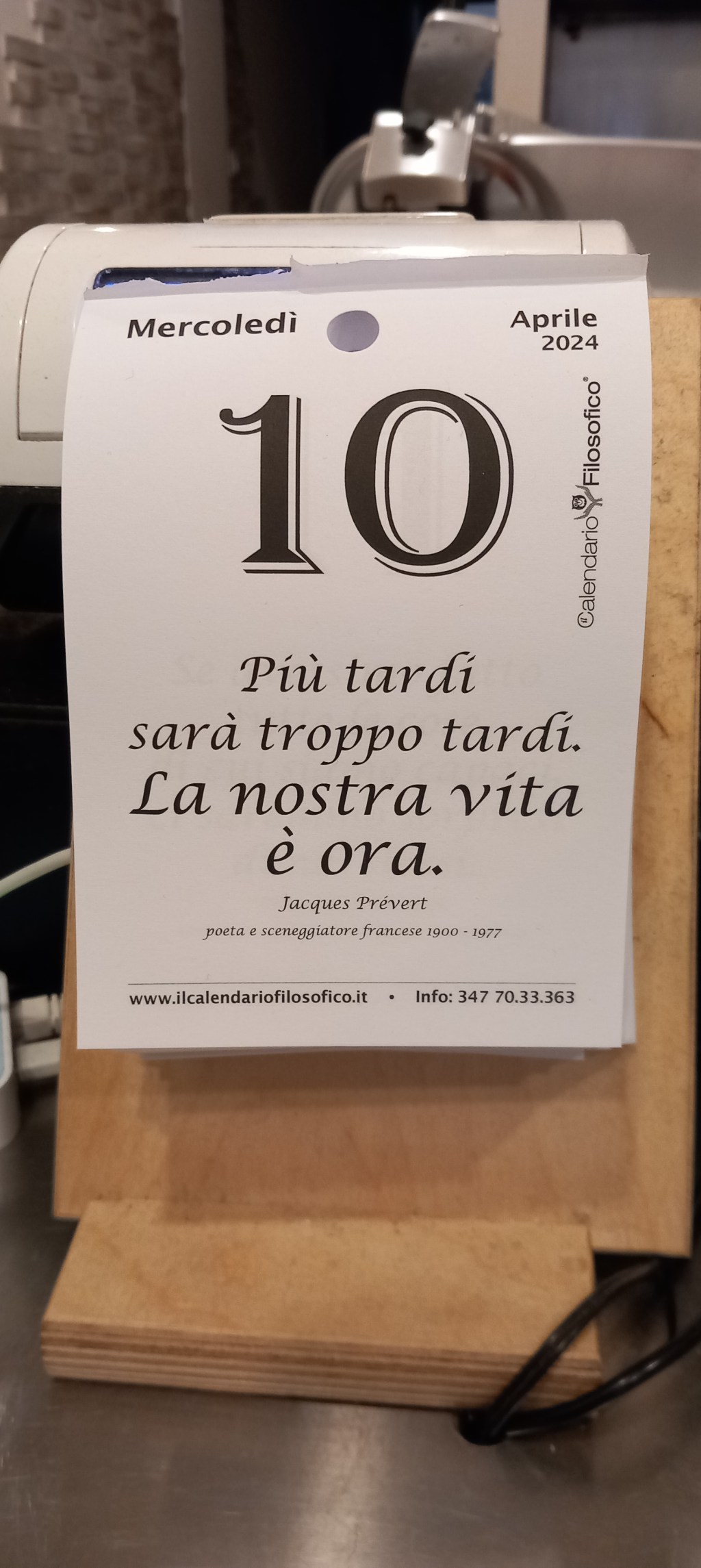 Full immersion Italian course in Bologna, Padua and Ferrara