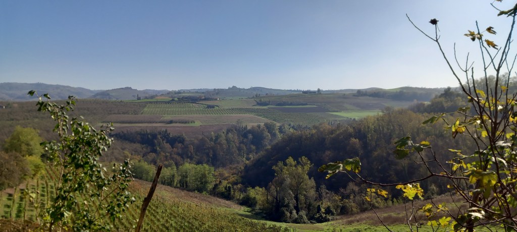 Full immersion Italian course in Turin, Asti and the Langhe